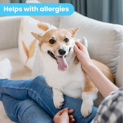 Organic Hypoallergenic Itch Soother Dog Moisturizer, 2-fl oz bottle