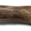 Premium All Natural Chews Meaty Femur Center Cut Bones Grain-Free Dog Treats, 5 count