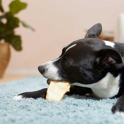 C.E.T. HEXtra Dental Chews for Dogs, 11-25 lbs