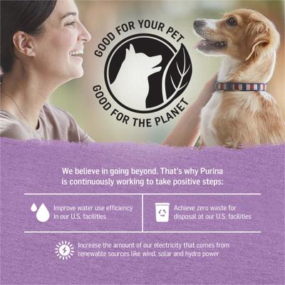 Turkey & Green Bean Recipe in Gravy Canned Dog Food, 12.5-oz, case of 12