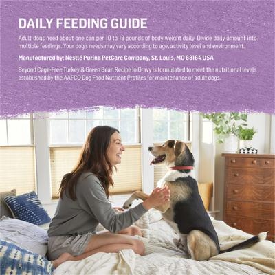 Turkey & Green Bean Recipe in Gravy Canned Dog Food, 12.5-oz, case of 12