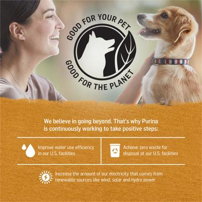 Chicken & Sweet Potato Recipe in Gravy Canned Dog Food, 12.5-oz, case of 12