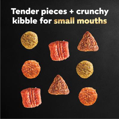 Filet Mignon Flavor & Spring Vegetables Garnish Small Breed Dry Dog Food, 5-lb bag