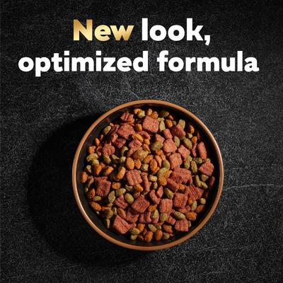 Filet Mignon Flavor & Spring Vegetables Garnish Small Breed Dry Dog Food, 5-lb bag