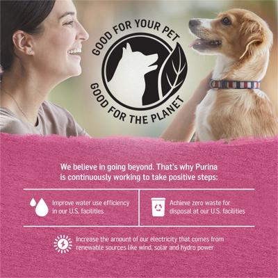 Alimento enlatado para perros con carne de res criada en granja y espinacas en salsa, 12.5 oz, caja de 12