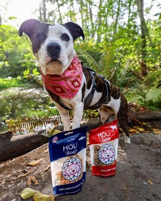 Beef Liver Grain-Free Freeze-Dried Dog Treats, 2-oz bag