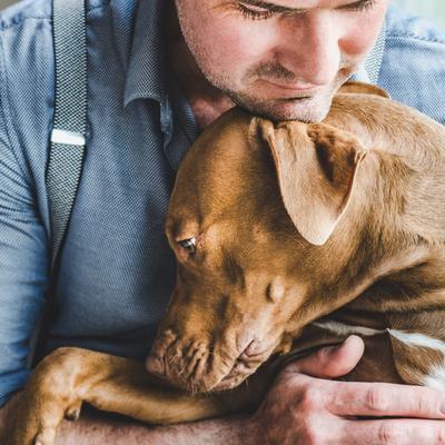 Ossy Hide Cape Ostrich Dog Treats, 2 count