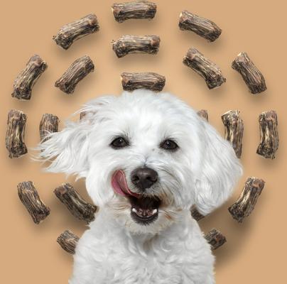 Ossy Cuts Cape Ostrich Dog Treats, 2 count