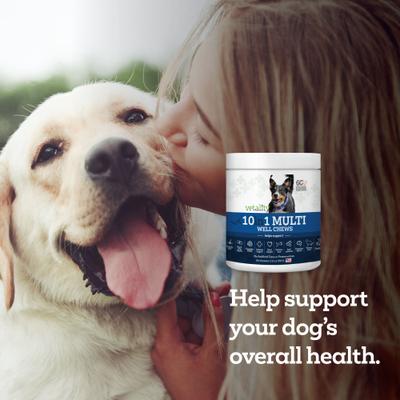10in1 Multi Well Bites Dog Supplement, 60 count