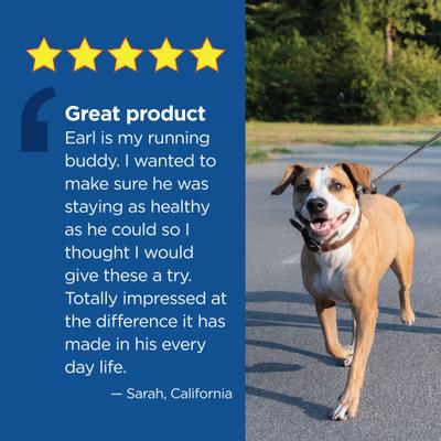 10in1 Multi Well Bites Dog Supplement, 60 count