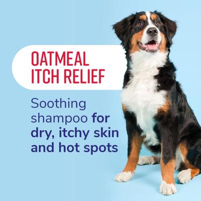 Fresh & Soothing Oatmeal Itch Relief Dog Shampoo, 22-fl oz bottle