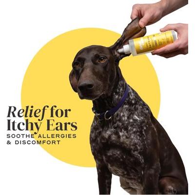 Limpiador de oídos esencial, solución antimicrobiana y antiolor para perros, botella de 113 ml