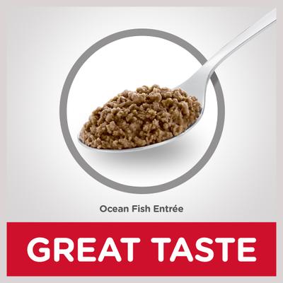 Alimento húmedo para gatos adultos de interior Ocean Fish Entree, lata de 5.5 oz, caja de 24