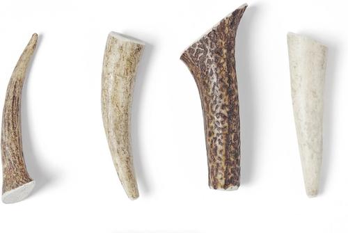 Elk Antlers Small Whole Dog Chew Treat