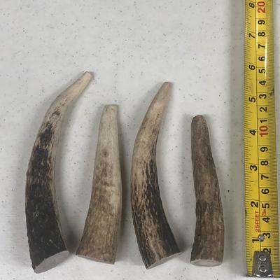 Elk Antlers Small Whole Dog Chew Treat