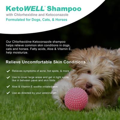 Ketoconazole Chlorhexidine Skin Infections, Growths, Abrasions, Acne, & Hot Spots Oatmeal & Aloe Mint Scent Medicated Dog & Cat Shampoo, 12-fl oz
