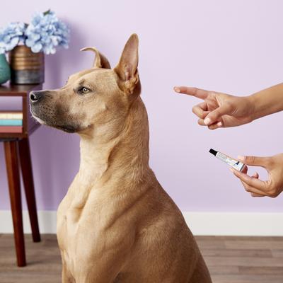 Vet Ointment Sterile Ocular Lubricant for Dogs & Cats, 3.5g tube