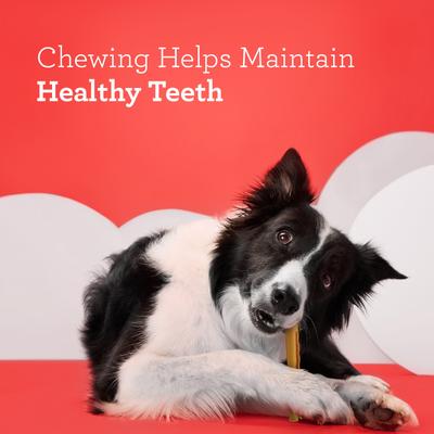 DreamSticks Bacon & Cheese Chews Dog Treats, 15 count