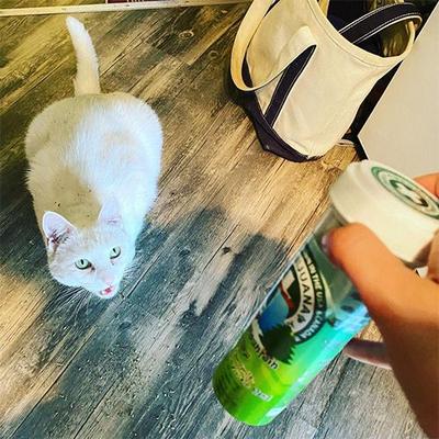 Rocky Mountain Mellow Chamomile, Dandelion, Honeysuckle Blend Catnip, 26-gm bottle