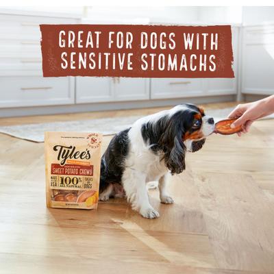 Sweet Potato Chew Dehydrated Dog Treats, 16-oz bag
