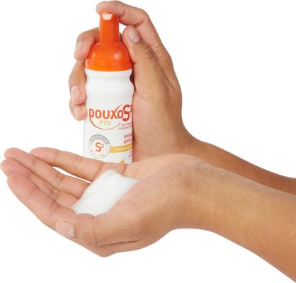 PYO Antiseptic Antifungal Chlorhexidine Dog Mousse, 5.1-oz bottle