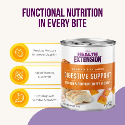 Digestive Support Chicken & Pumpkin Entrée in Gravy Dog Food, 9-oz can, case of 12