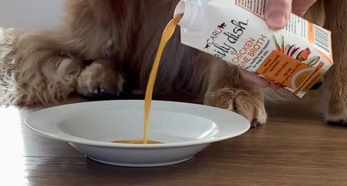 Daily Dish Beef Broth Human-Grade Dog & Cat Wet Food Topper, 1.1-lb bottle