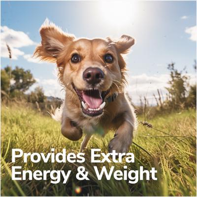 High Calorie Weight Gain Chews 3-in-1 Soft Chew Supplement for Dogs, 8-oz bag