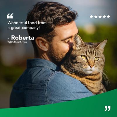 Renal Feline Dry Cat Food, 11-lb bag