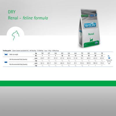 Renal Feline Dry Cat Food, 11-lb bag