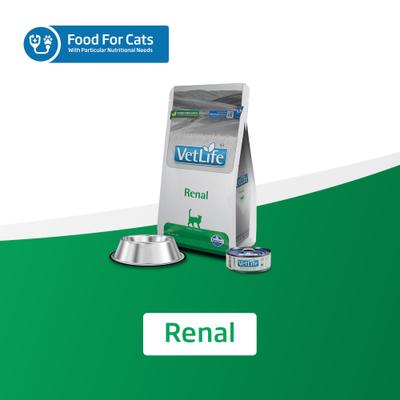 Renal Feline Dry Cat Food, 11-lb bag