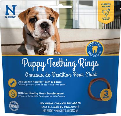 Puppy Teething Ring Pumpkin Flavor Dental Dog Treats, 6 count
