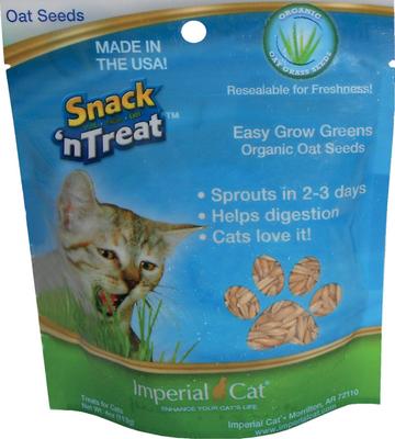 Easy Grow Cat Oat Grass Seeds, 4-oz bag