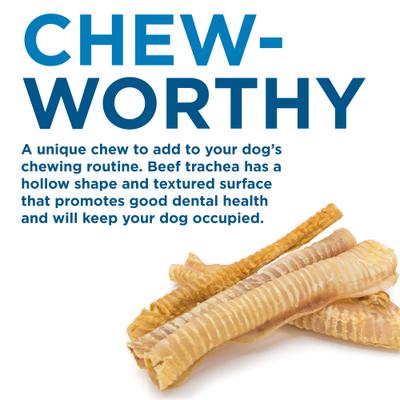 12" Beef Trachea Dog Treat, 12 count