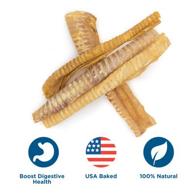 12" Beef Trachea Dog Treat, 12 count