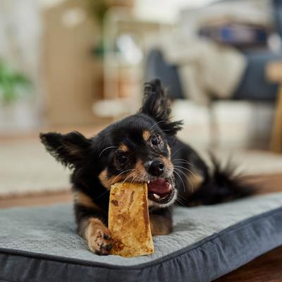 Bully Strips Peanut Butter Flavor Beef Dog Treats, 9-oz bag