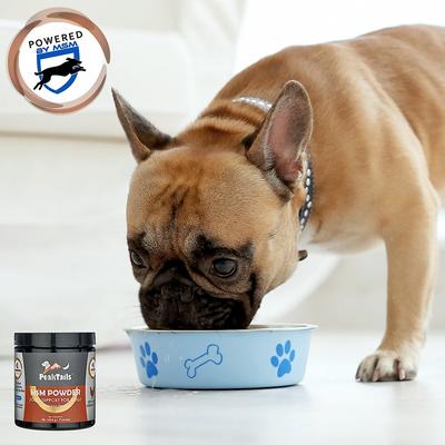 MSM Chicken Flavored Powder Supplement for Dogs, 1-lb tub