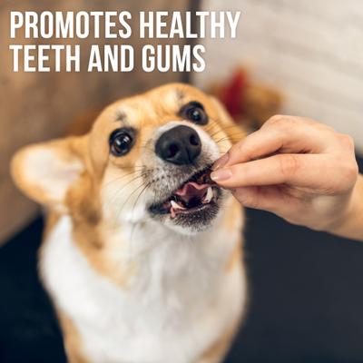 All Natural Sweet Potato & Chicken Wraps Human Grade Grain-Free & High-Protein Jerky Dog Treats, 1.5-lb bag