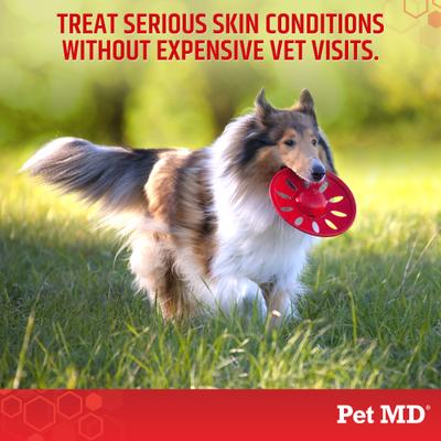 Antiseptic & Antifungal Medicated Shampoo, 8-oz bottle