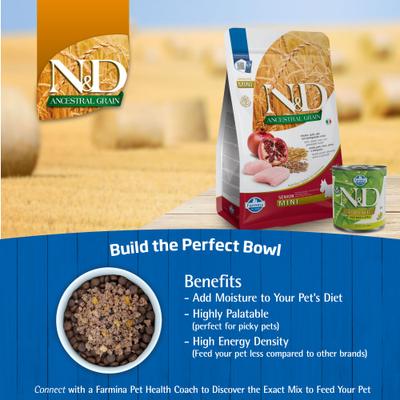 N&D Ancestral Grain Chicken & Pomegranate Recipe Senior Medium & Maxi Dry Dog Food, 26.5-lb bag