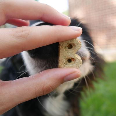 Daily Support Belly Aid Pumpkin & Ginger Recipe Dog Treats, 12-oz box