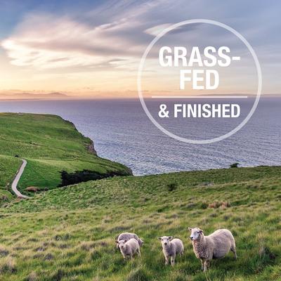 Lamb & King Salmon Feast Grain-Free Canned Cat Food, 6-oz, case of 12