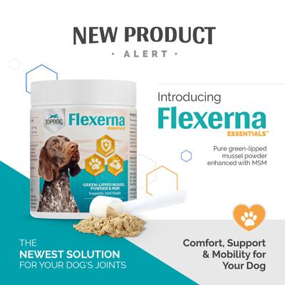 Flexerna Essentials Powder Joint Supplement for Dogs, 3-oz jar