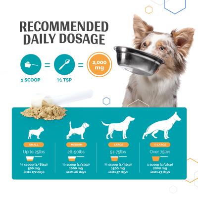 Flexerna Essentials Powder Joint Supplement for Dogs, 3-oz jar