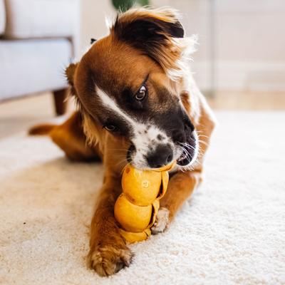 5-in Peanut Butter Beef Collagen Cheeks Dog Treat