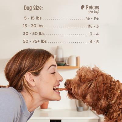 All Natural Human Grade Beef Savory Sticks Dog Treats, 14-oz bag