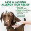 Allergy Itch Relief Shampoo for Dogs, 16-fl oz bottle
