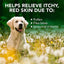 Allergy Itch Relief Shampoo for Dogs, 16-fl oz bottle