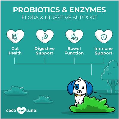 Coco and Luna Probiotics & Enzymes Bacon & Liver Flavor Dog Supplement, 120 count