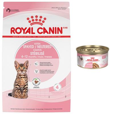 Bundle: Royal Canin Feline Health Nutrition Dry Food + Feline Health Nutrition Thin Slices in Gravy Wet Kitten Food